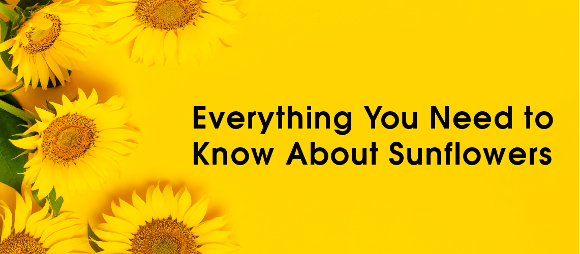 Teachers Day Gifts Beautiful Flower Gifts to Present on Teacher’s Day 2024