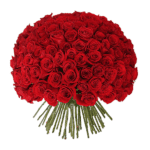 100 red rose hand tied Bouquet from JuneFlowers.com