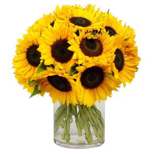 12 Sunflower in Vase JuneFlowers.com