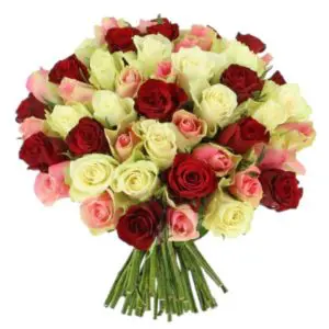 for Man Gift | 50 Roses of Thrice Color Hand Tied Bouquet | Order Now at JF