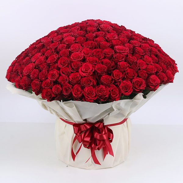 Red bouquet of roses, Send Bouquet of 500 Red Roses