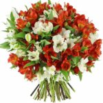 Bouquet Red & White Alstroemeria