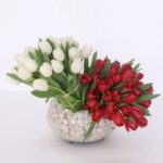 Beautiful white and red tulips in a glass vase| Juneflowers.com