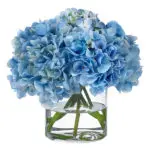 Light Blue Hydrangea in Cylinder Vase JuneFlowers.com