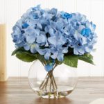 Light Blue Hydrangea in Fish Bowl JuneFlowers.com