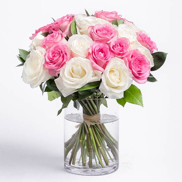 Lovely Pink & White Rose, Roses in the vase