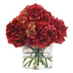 Red Hydrangea in Cylinder Vase JuneFlowers.com