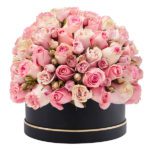 Signature Box of Light Pink Roses JuneFlowers.com