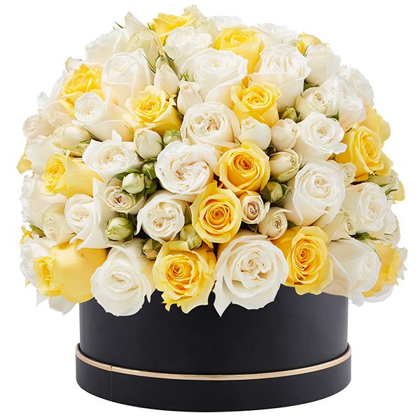 Box of White and Yellow Rose Flowers in Bouquet | Send Flowers to Bangalore| Order Now at JF