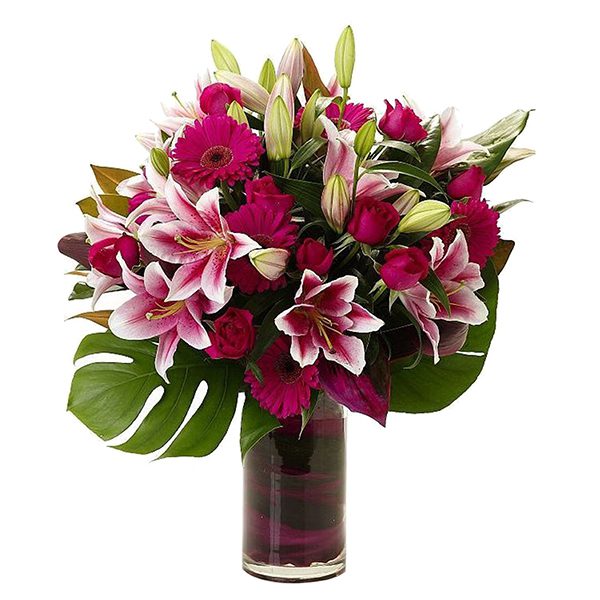 Stargazer Lilly with Dark Pink Gerberas The perfect lily in vase