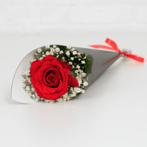Single red roses with baby's breath shows love