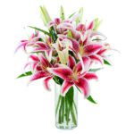 lily in glass vase
