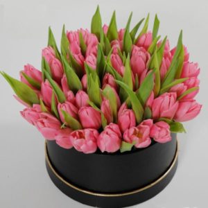 Tulips For You | Juneflowers.com