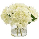 White Hydrangea in Cylinder Vase JuneFlowers.com