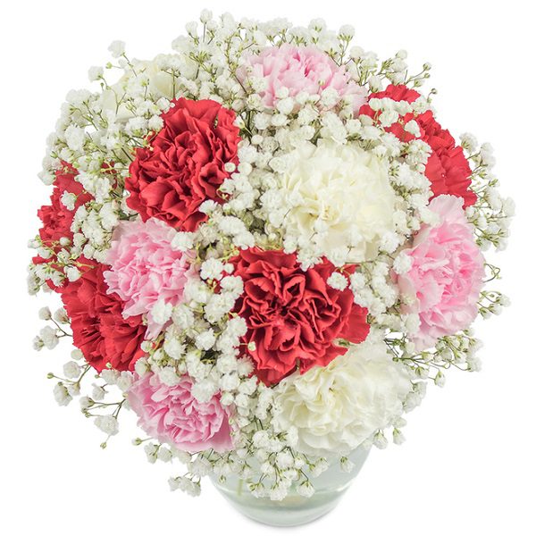 The best Hydrangea Flowers Online Flowers Delivery in Bangalore