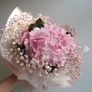 Pinkish Pinky | Online Pink Hydrangea Flowers Delivery in India | Orderr Now at JuneFlowers.com
