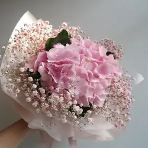 Pinkish Pinky | Juneflowers.com