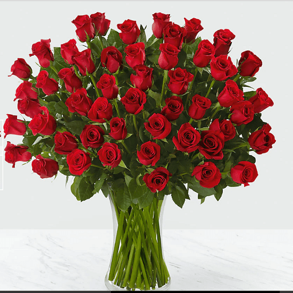 Fantastic Surprise | red rose online Online Delivery in Bangalore ...