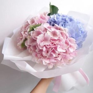 Love of Hydrangea | Online hydrangea flower Delivery | order now June Flower India