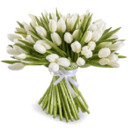 EID Pure White Tulips | Juneflowers.com
