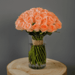 Peach rose in glass vase
