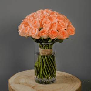 Peach rose in glass vase