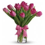Pink Tulips | JuneFlowers.com