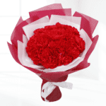 carnation hand bouquet