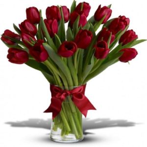 Tulip flowers | Juneflowers.com