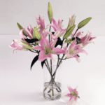 Sweet Lilies | JuneFlowers.com