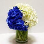 Hydrangea Flowers