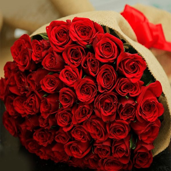 The Perfect Red Roses Flower of Love | Order Flowers Online India ...