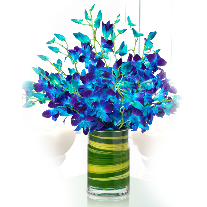Captivating Blue Orchids Flower Delivery India