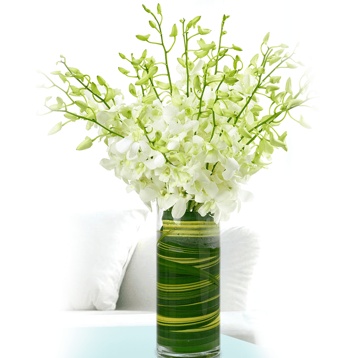 Captivating White Orchid White Orchid Bouquet Juneflower