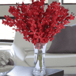 Dazzling Red Mokara | Juneflowers.com