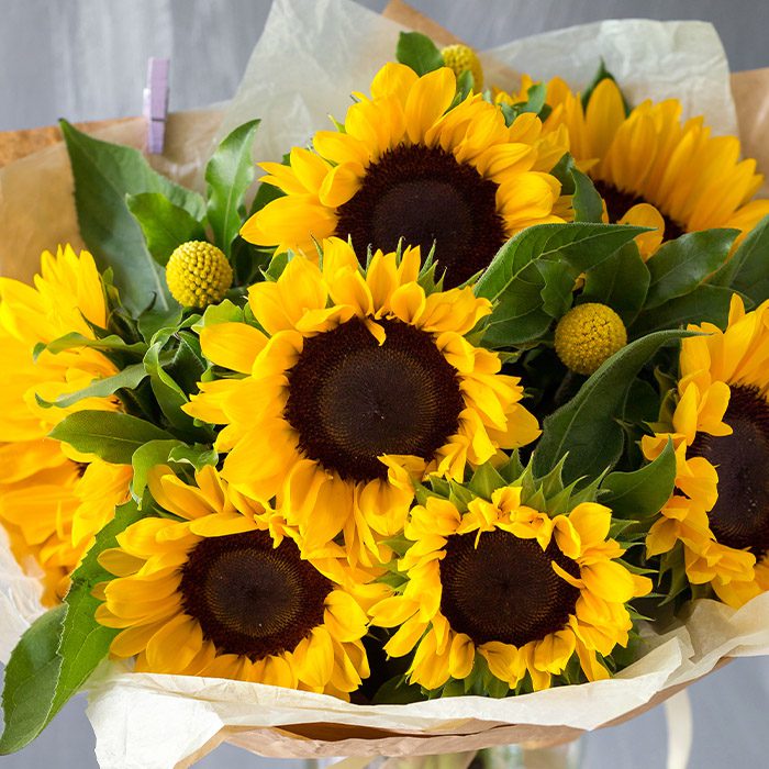Sunflowers in Vase Sending Flowers in Delhi Order Now at June