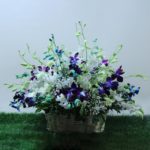 Stunning Orchid - Orchid Flower bouquet Delivery to India | JF
