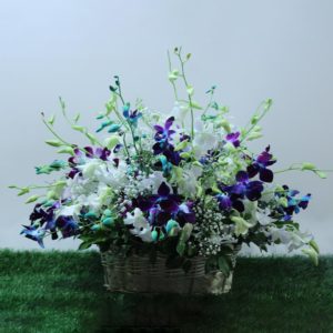 Stunning Orchid | Juneflowers.com