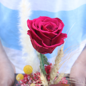 Forever Love - Order Forever roses for Valentines day | Juneflowers.com