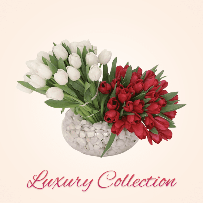 Luxury Collection