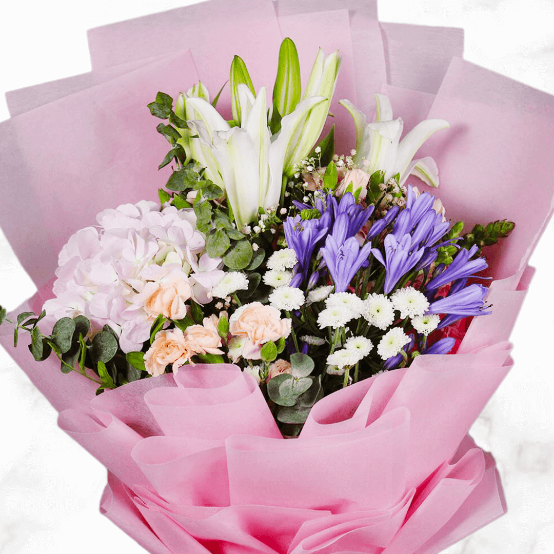 Cute Box of Two Colours Gypsophila with Cymbidium Orchids