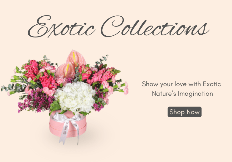 Exotic Collections