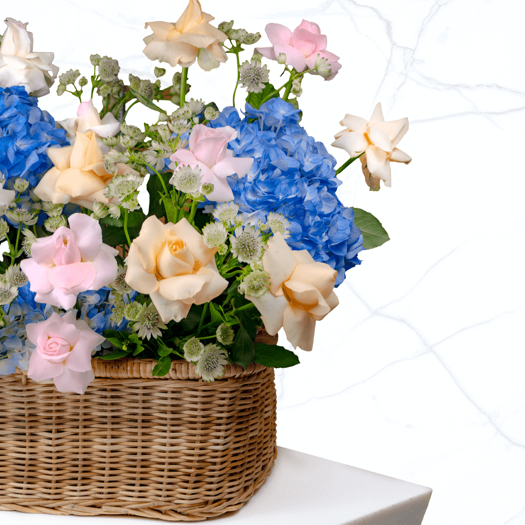 Cymbidium with Gypsophila Basket