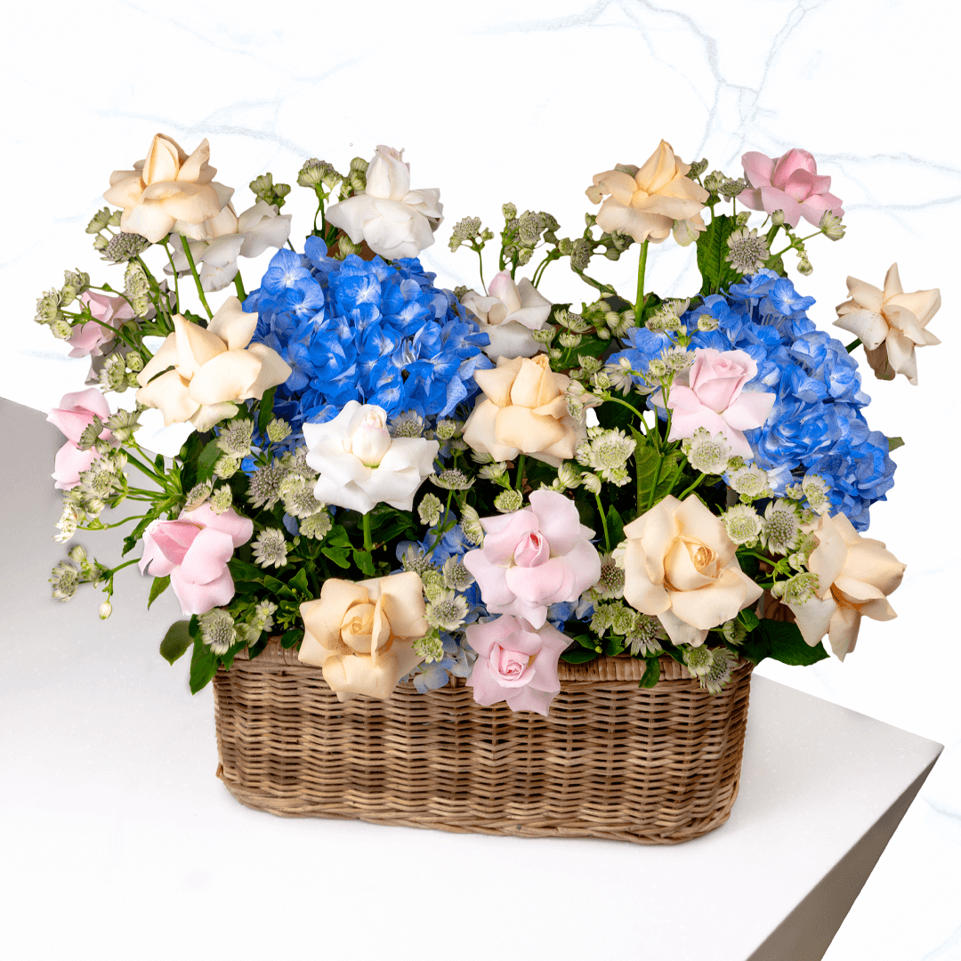 Cymbidium with Gypsophila Basket