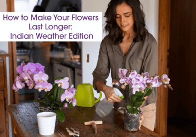 How to Keep Bouquet Flowers Fresh: Expert Tips for Long-Lasting Beauty | Black Tulip Flowers